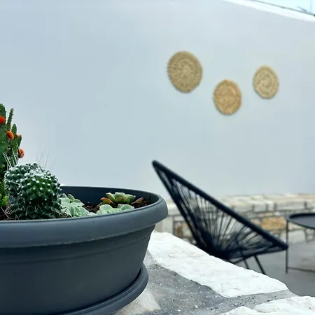 Bamboo House Syros 2 Сasa de vacaciones *